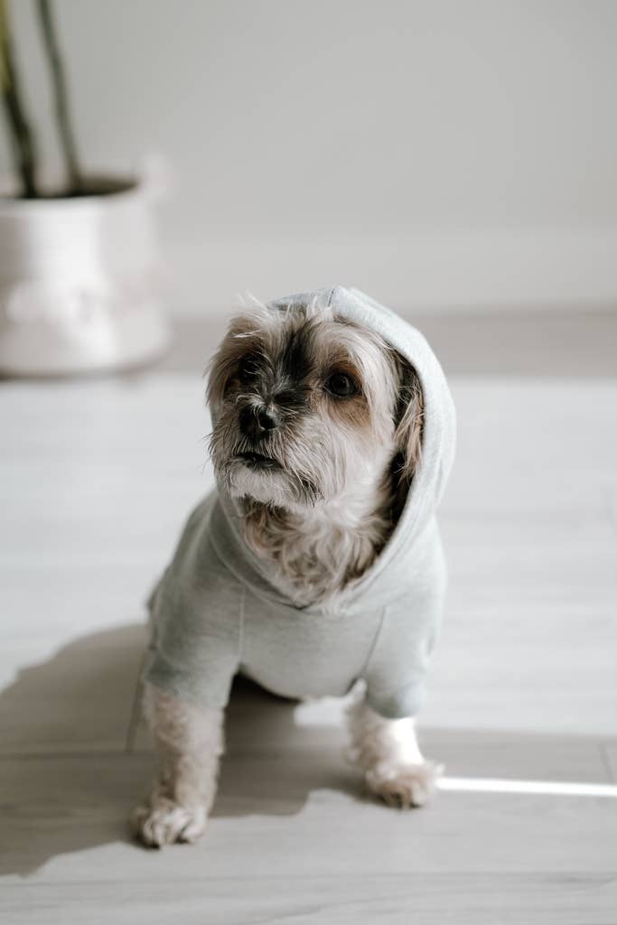 Bamboo Everyday Hoodie for Dogs - Light Heather Grey