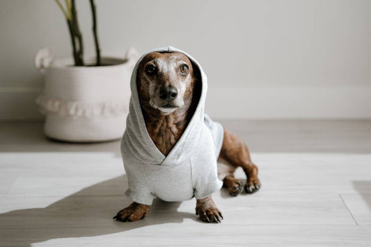 Bamboo Everyday Hoodie for Dogs - Light Heather Grey