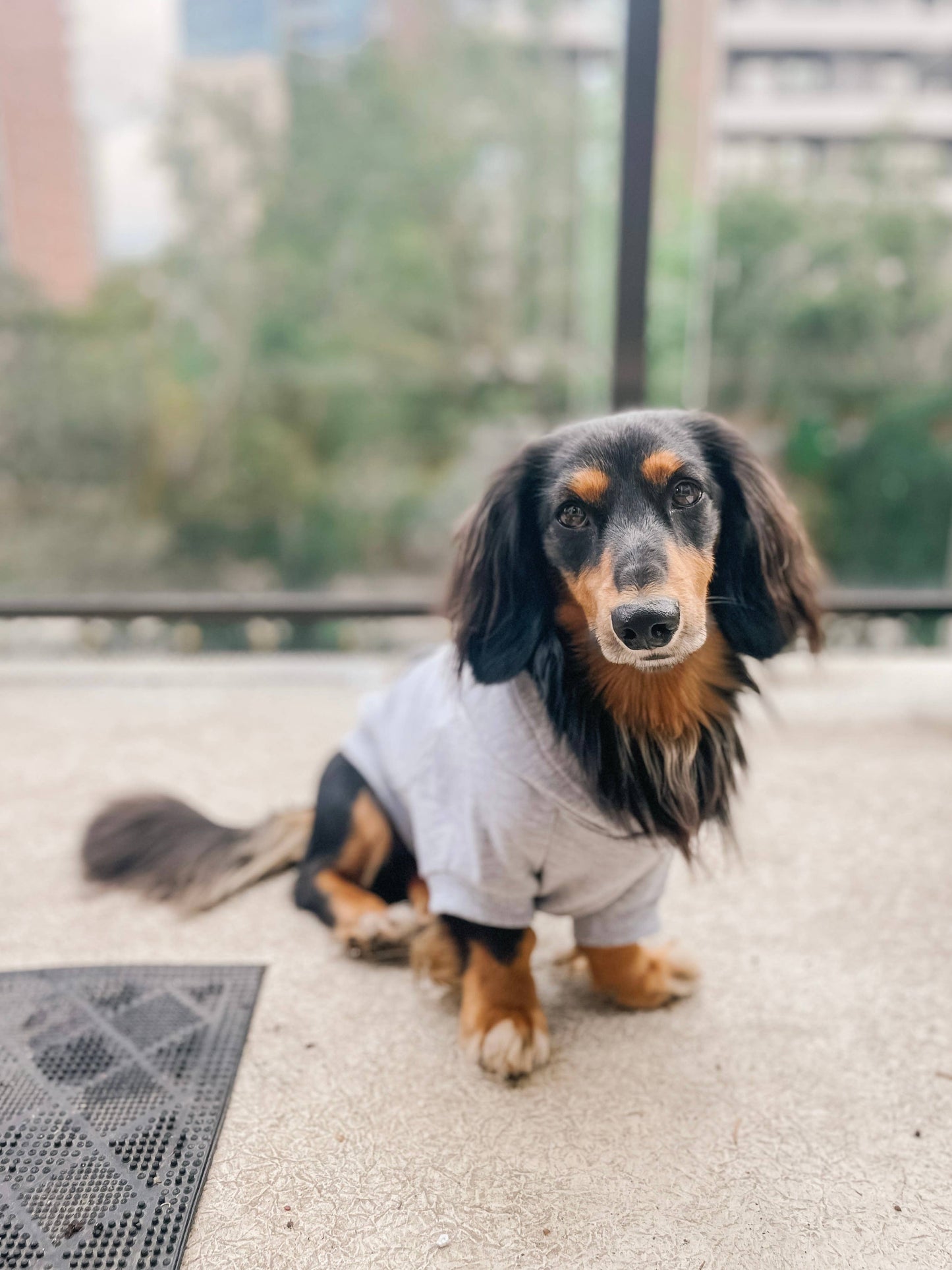 Bamboo Everyday Hoodie for Dogs - Light Heather Grey