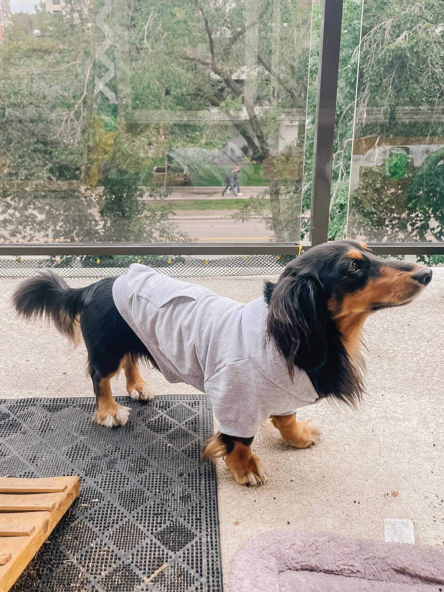 Bamboo Everyday Hoodie for Dogs - Light Heather Grey